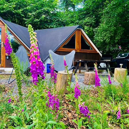 Chalet Tropical Avec Bain A Bulles - In The Woods Gesves Luaran gambar